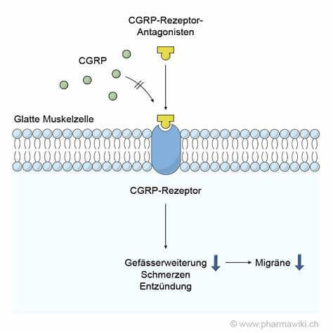 ナルティークの作用機序